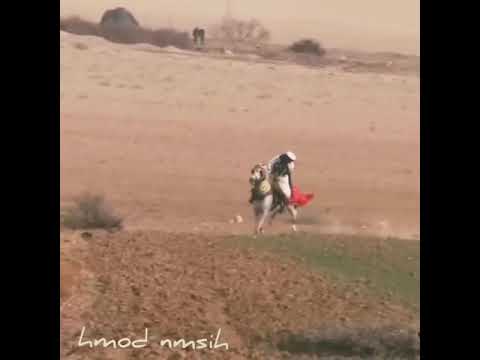 من نشدني من غيابي ليش غايب