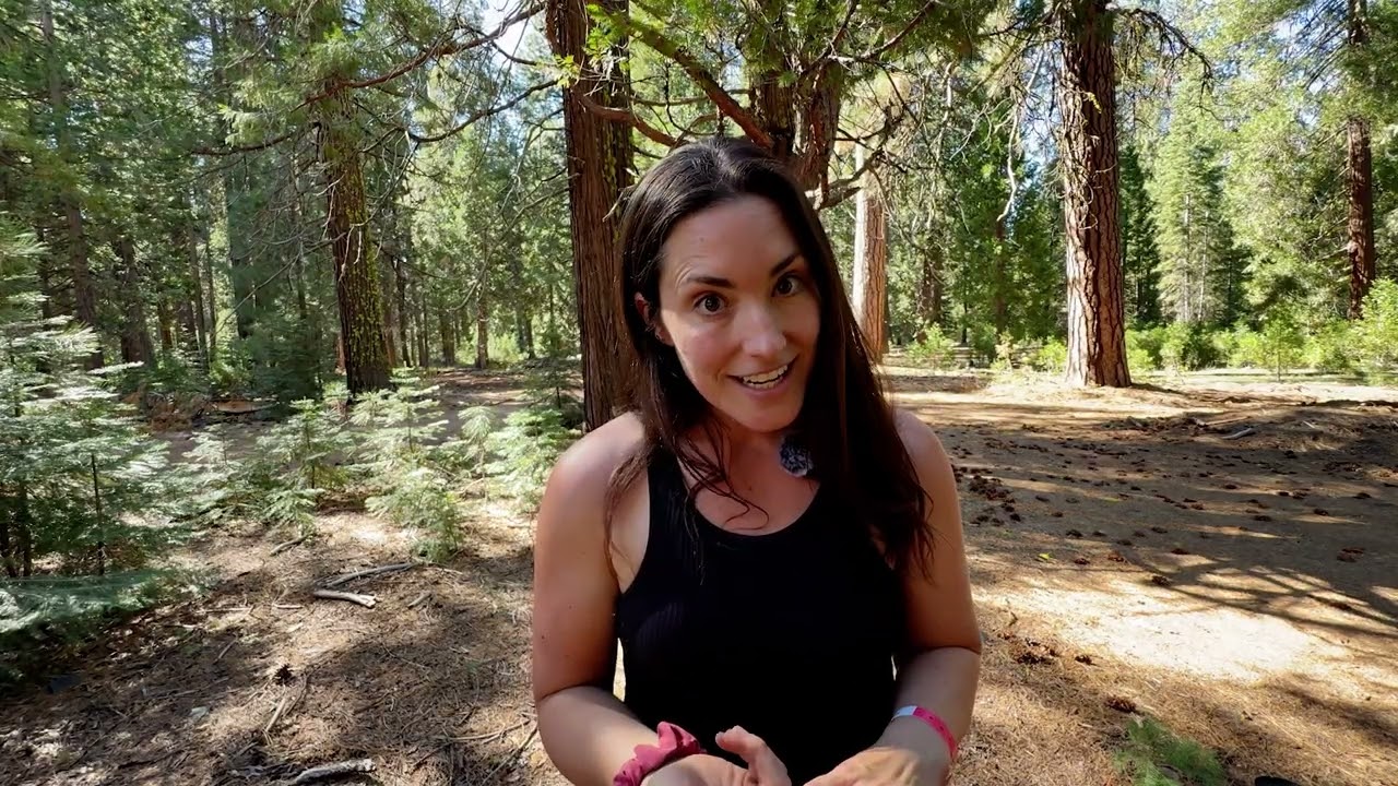 Traveling Doesn't Have to Mean Compromising Your Dog's Nutrition