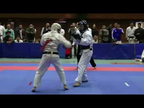 2017第28回日本拳法洪游杯ジャパンオープン決勝戦