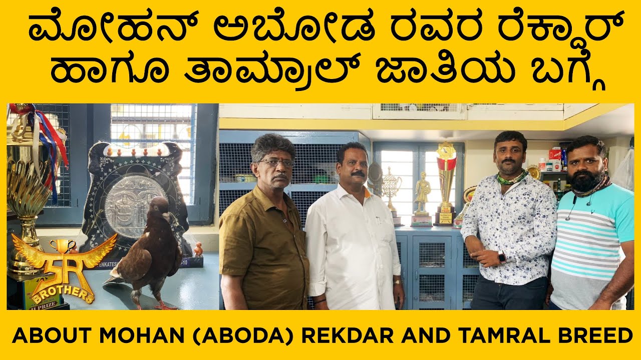 ಮೋಹನ್ ಅಬೋಡ ರವರ ರೆಕ್ದಾರ್ ಹಾಗೂ ತಾಮ್ರಾಲ್ ಜಾತಿಯ ಬಗ್ಗೆ|Mohan (Aboda) Rekdar and Tamral breed (episode 01)