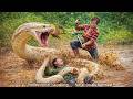 72 Hours Of Terror Giant Python Attacks Man Underwater Shocking Rescue Moment mp3