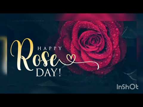 Happy Rose Day new full hd video 2022 //Whatsapp Status #happyroseday