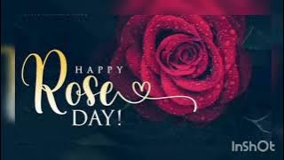 Happy Rose Day new full hd video 2022 //Whatsapp Status #happyroseday