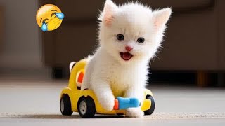 ❤ Funniest Cats and Dogs Videos  Funny Animal Videos #9