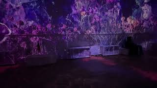 Mozart: An Immersive Experience Exhibit Projection Video
