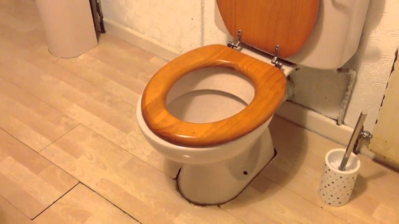 DJ Toilet IT WASN'T ME (Remix) YouTube