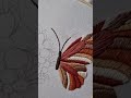 Gorgeous Butterfly Embroidery 