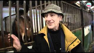 Download Lagu Uindewijk Overvecht Utrecht Manege 't Hoogt aan de Gageldijk MP3