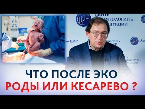 Роды после ЭКО: КЕСАРЕВО или ЕСТЕСТВЕННЫЕ? Отвечает доктор Гузов.