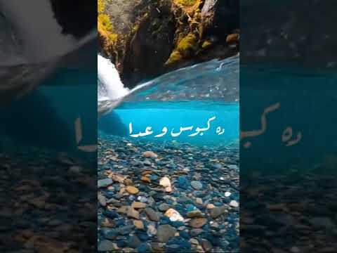 طلقاتي راشقه حالات واتس ل حمو الطيخا تصميم  1