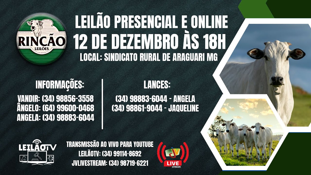 20º LEILÃO CABECEIRA DO ARAGUAIA - Central Leil�es