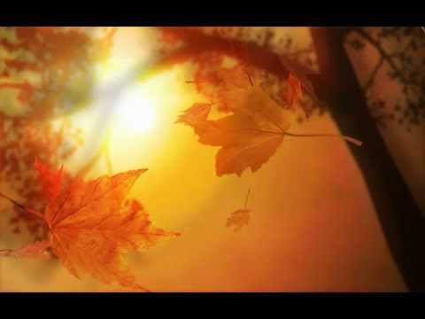 Video: Le foglie autunnali sono annunciatrici dorate dell'autunno
