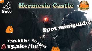 BDO | Hermesia Castle Miniguide - Succ Wiz 15,2k+/hr, L2 only