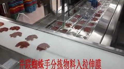 thermoforming packaging machine with robot arm