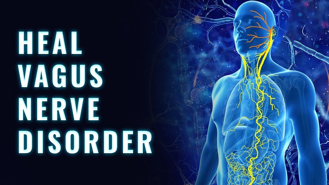 Repair Vagus Nerve Damage Powerful Vagal Tone Brain Fog Treatment