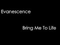 Evanescence - Bring Me To Life (lyrics)