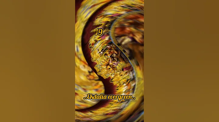 Ekdalia evergreen Durga maa 2015 to 2025 #durgapuja2025#durgapuja#kolkatadurgapuja#ekdaliaevergreen