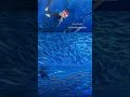 lots of fish in the bermuda triangle ! #fisherman #netfishing #shorts #fishingpedia