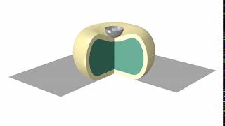 AFM indentation compressing a cell: Abaqus, Benchmarking and User-defined routines