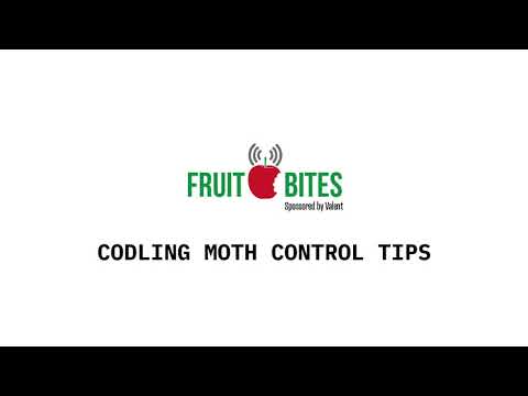 Codling Moth Control