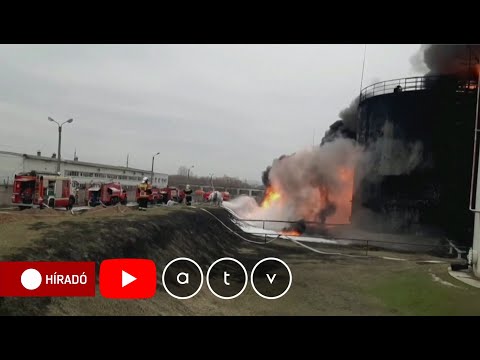 Videó: A legtöbb orosz szerint a szőkék ostobák