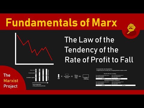 Fundamentals Of Marx: Falling Profit Rates (LTRPF)