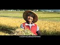 【馬玉山】糙米麩300g(包) product youtube thumbnail