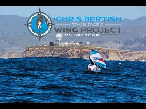 The Wing Project
