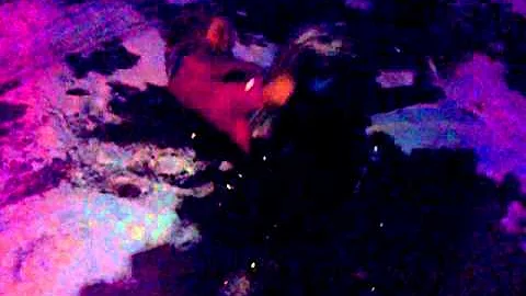 face palm....sledging with harriet nicholson