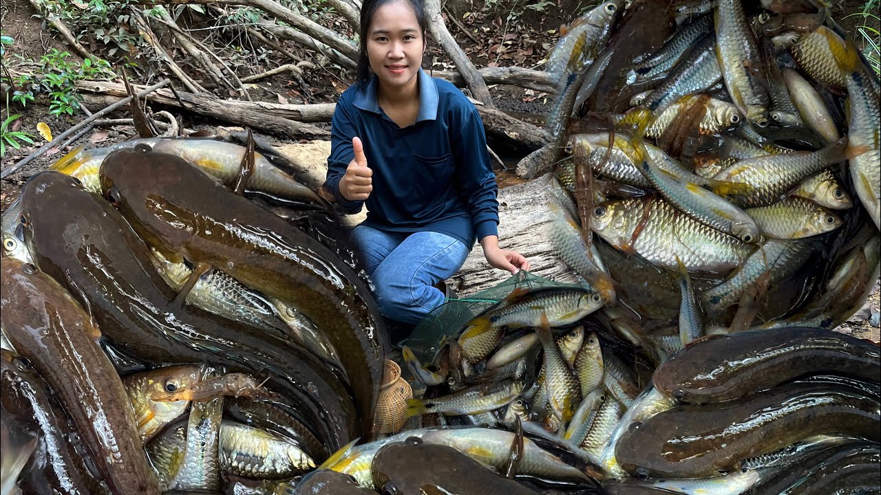 ใส่มุ้งดักปลา ปลาช่อน ปลาขาว  17/ม.ค/2569