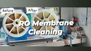 RO Membrane Cleaning using Muriatic Acid (DIY) (How to clean RO membrane)