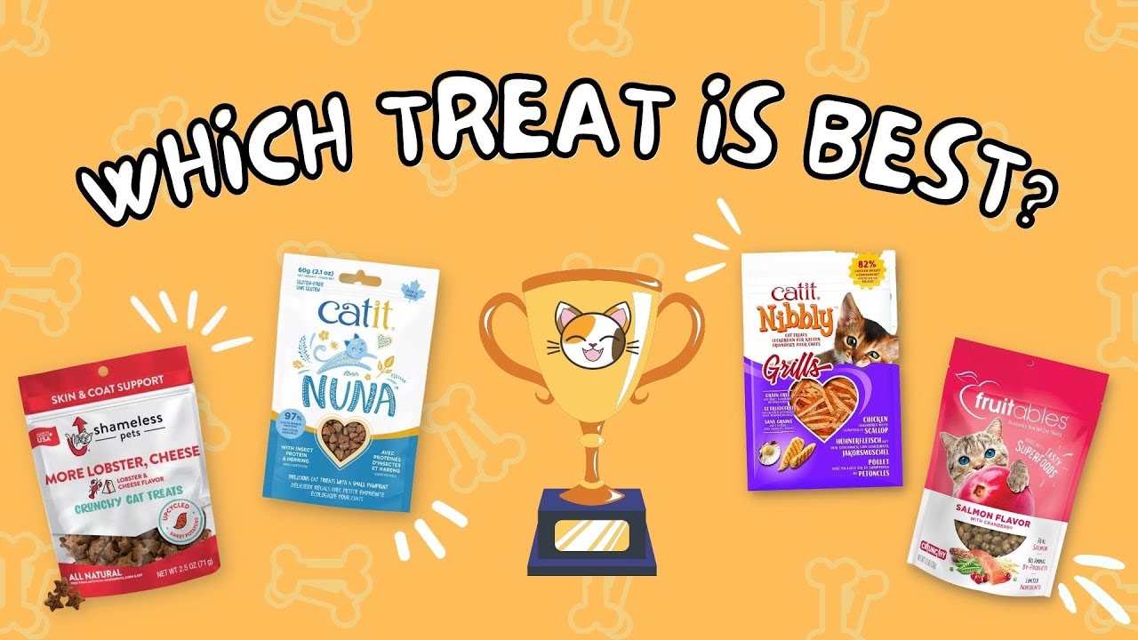 The 4 BEST Cat Treats for Picky Cats (We Tried Them ALL) Part 1 Cat
