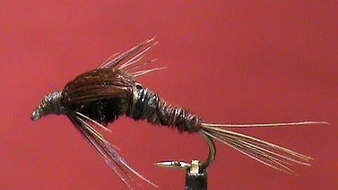 Beginner Fly Tying a Tungsten Body Pheasant Tail with Jim Misiura