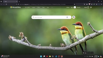 CVE-2024-4358 / CVE-2024-1800 PoC {Proof Of Concept}