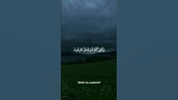 ما تيسر من سوره الزخرف بصوت القارئ الجميل ياسر الدوسري تابعني لتلاوات اخري ♥️