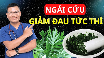Cách chườm ngải cứu HẾT ĐAU XƯƠNG KHỚP ngay tại nhà | Tuấn Thầy Thuốc