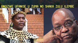 Ufanise izonzo zika Zuma we MK nezika Shaka Ilembe u Ngizwe enenebula ngomtalabho I DA