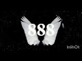 Portal 888-- Yorg Damian (prodby La Pincoya Weed)