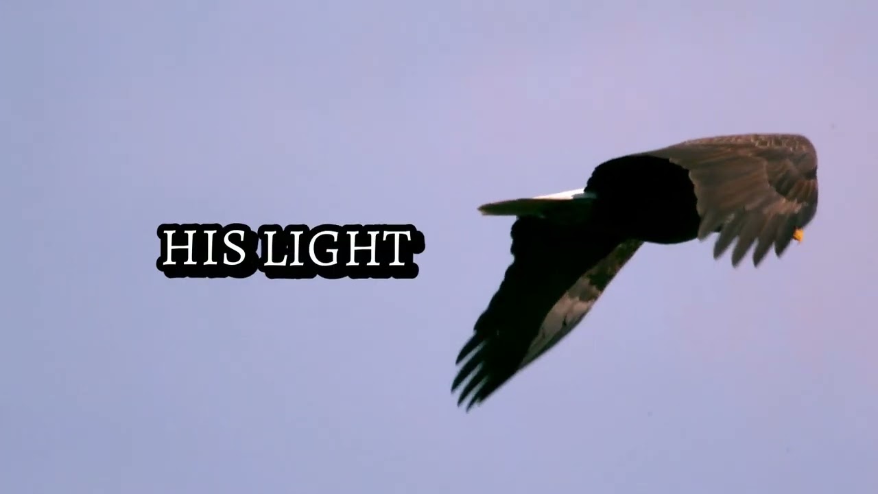 Rhett Dawson - In His Perfect Time (Lyric Video)