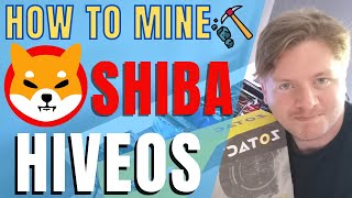 How to Mine Shiba Inu Coin in HiveOS in 2022
