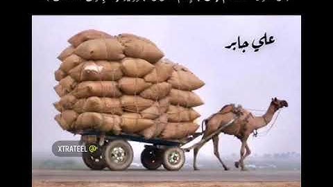 #تلاوات_ قصيرة_نادرة  سورة #النحل تلاوة القرآن الكريم