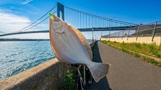 Catching Flounder Using Fresh Croaker Strips NYC Fishing