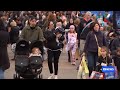 Bird flu threat being felt in agricultural show circuit | ABC NEWS