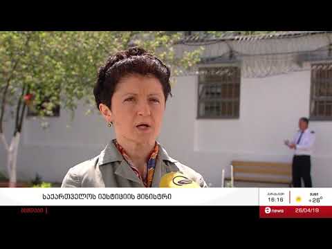 თეა წულუკიანი: „ჩვენმა მოქალაქეებმა უნდა დაიცვან ის წესები, რომელსაც უვიზო მიმოსვლის რეჟიმი ადგენს“