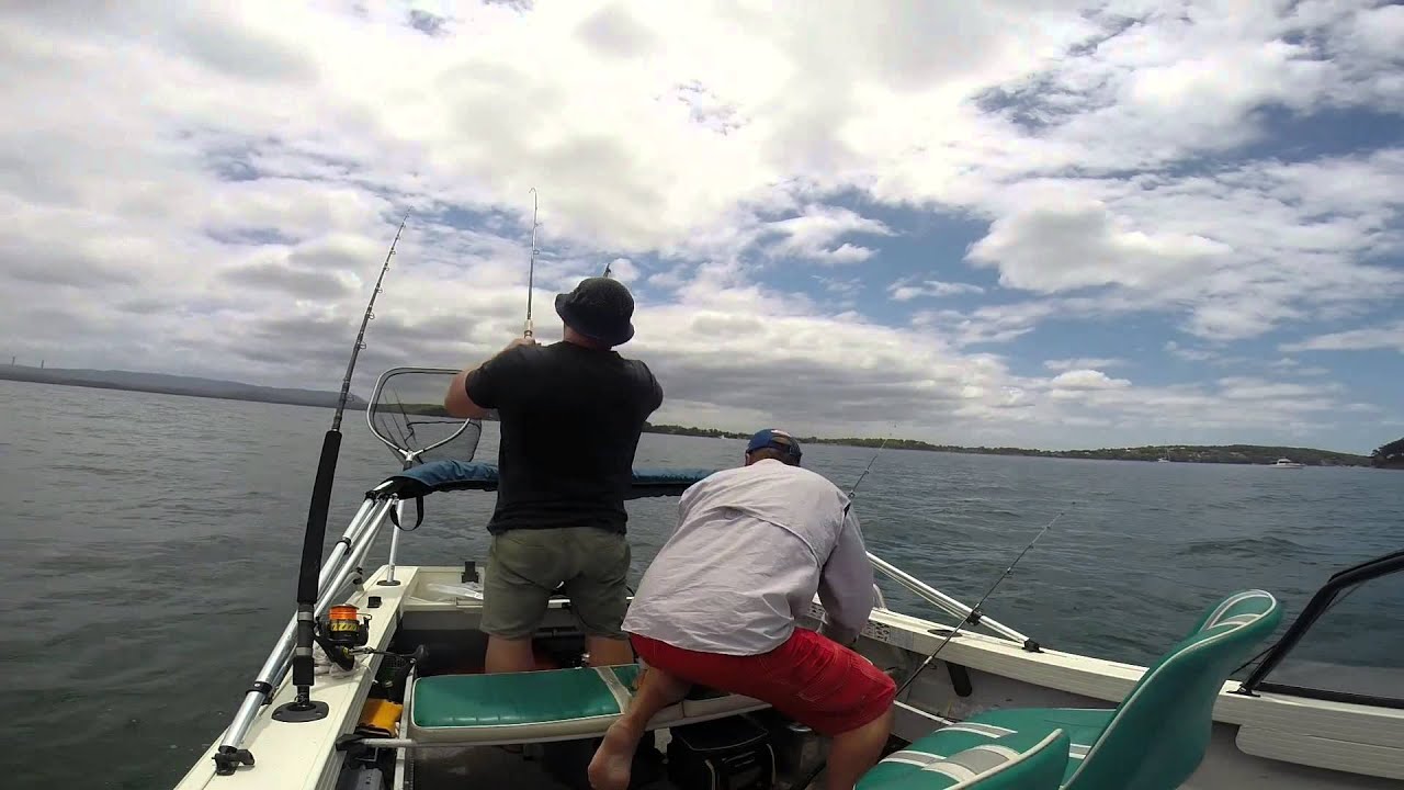 sea fishing trips newcastle