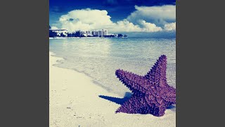 Distinguished Music for Weekend Beach Vacations