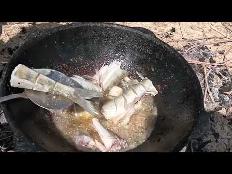 Видео: Рыбалка в Узбекистане . Тудакул-Бухоро. Судак чарчативорди . Жор судака .Рыбалка с учеником