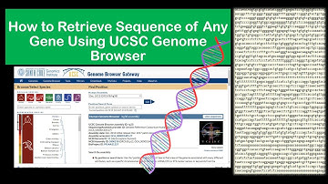How to Retrieve Sequence of Any Gene of Any Species Using UCSC Genome Browser