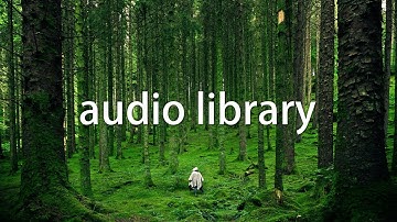 Audio Library - Copyright Free Music for Content Creators [Built to Last - NEFFEX] #music