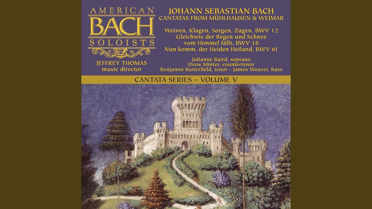 Gleichwie der Regen und Schnee vom Himmel fällt, BWV 18: 4. Aria: Mein Seelenschatz ist Gottes...